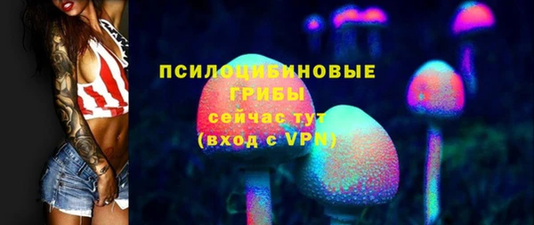 дживик Абинск