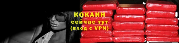 дживик Абинск