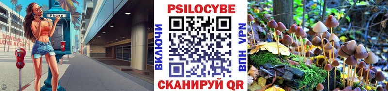 Галлюциногенные грибы мухоморы  купить закладку  Луга 